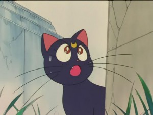 SailorMoon-s1-026(310).JPG