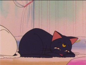 SailorMoon-s1-038(89).JPG