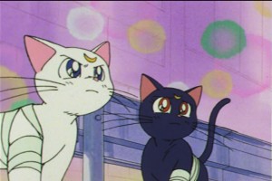 SailorMoon-s1-045(7).jpg