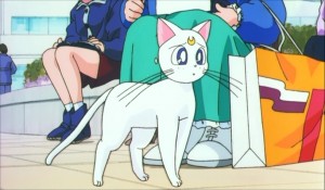 SailormoonS-movie (141).jpg