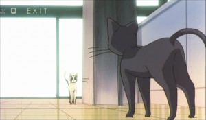 SailormoonS-movie (2050).jpg