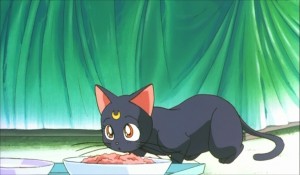 SailormoonS-movie (267).jpg