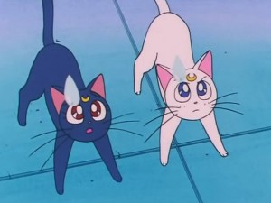 screenshot-anime-sailor-moon-s-episode-093-442.jpg