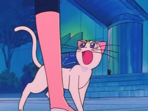 screenshot-anime-sailor-moon-s-episode-097-317.jpg