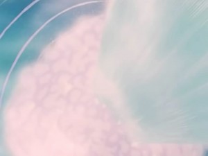 screenshot-anime-sailor-moon-s-episode-098-163.jpg