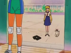 screenshot-anime-sailor-moon-s-episode-100-046.jpg