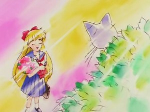 screenshot-anime-sailor-moon-s-episode-100-444.jpg