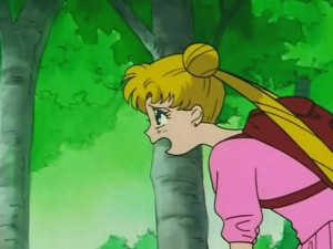 screenshot-anime-sailor-moon-s-episode-105-320.jpg