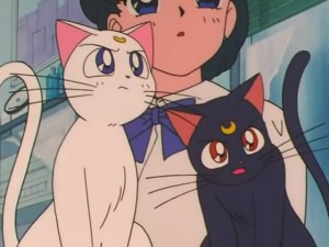 screenshot-anime-sailor-moon-s-episode-120-080.jpg