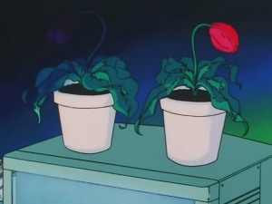 screenshot-anime-sailor-moon-s-episode-120-466.jpg