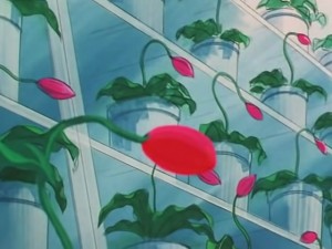 screenshot-anime-sailor-moon-s-episode-121-113.jpg