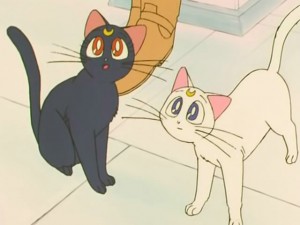 screenshot-anime-sailor-moon-s-episode-127-054.jpg