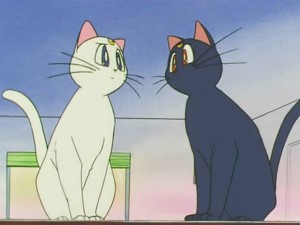 screenshot-anime-sailor-moon-s-episode-127-209.jpg
