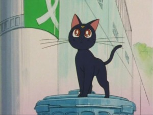 SailorMoon-s1-005(311).jpg