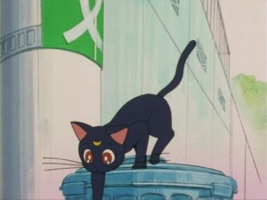 SailorMoon-s1-005(312).jpg