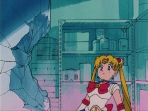 SailorMoon-s1-005(397).jpg