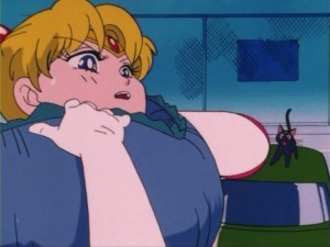 SailorMoon-s1-005(420).jpg