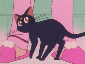 SailorMoon-s1-005(46).jpg