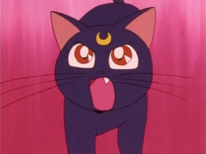SailorMoon-s1-006(402).jpg