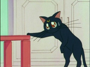 SailorMoon-s1-006(466).jpg