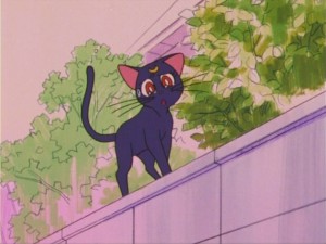 SailorMoon-s1-016(219).jpg