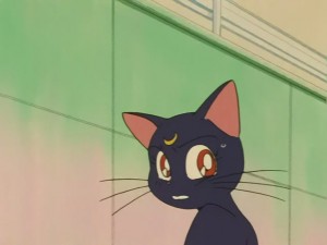 SailorMoon-s1-031(27).JPG