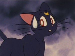 SailorMoon-s1-033(200).JPG
