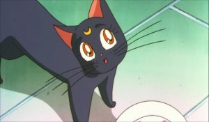 SailormoonS-movie (385).jpg