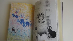 kanzenban04.JPG
