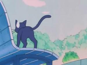 screenshot-anime-sailor-moon-s-episode-093-120.jpg