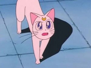 screenshot-anime-sailor-moon-s-episode-097-215.jpg