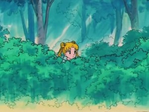screenshot-anime-sailor-moon-s-episode-098-245.jpg