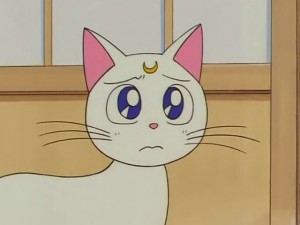 screenshot-anime-sailor-moon-s-episode-100-179.jpg