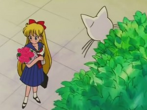 screenshot-anime-sailor-moon-s-episode-100-440.jpg