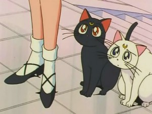 screenshot-anime-sailor-moon-s-episode-109-109.jpg