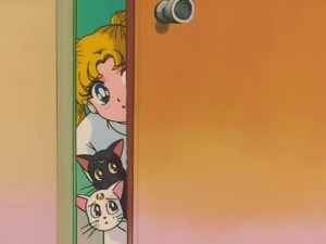 screenshot-anime-sailor-moon-s-episode-121-239.jpg