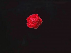 screenshot-anime-sailor-moon-super-s-episode-134-387.jpg