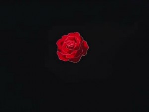 screenshot-anime-sailor-moon-super-s-episode-161-404.jpg