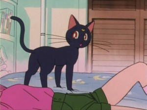 SailorMoon-s1-005(180).jpg