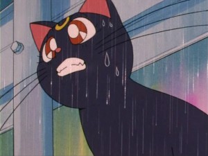 SailorMoon-s1-006(142).jpg