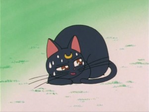 SailorMoon-s1-006(49).jpg