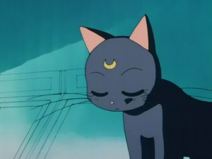 SailorMoon-s1-008(118).JPG