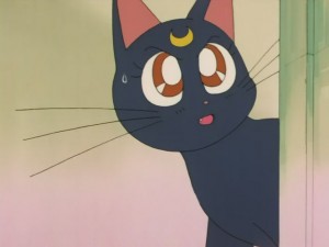 SailorMoon-s1-008(471).JPG