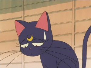 SailorMoon-s1-026(152).JPG