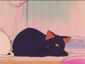 SailorMoon-s1-038(95).JPG