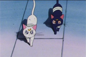 SailorMoon-s1-045(46).jpg