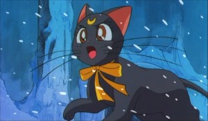 SailormoonS-movie (1682).jpg
