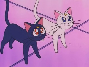 screenshot-anime-sailor-moon-s-episode-093-249.jpg