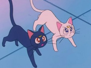 screenshot-anime-sailor-moon-s-episode-093-326.jpg