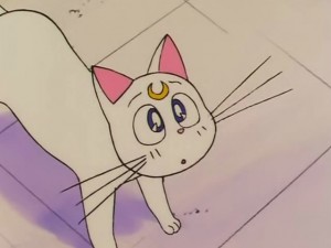 screenshot-anime-sailor-moon-s-episode-100-025.jpg